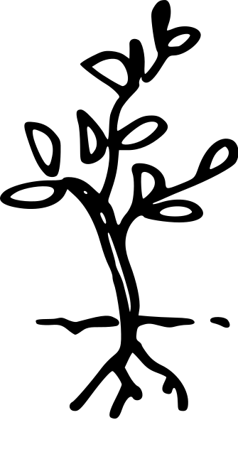 Krisenzeiten meistern - Belastungen bew&auml;ltigen in der Fachberatung